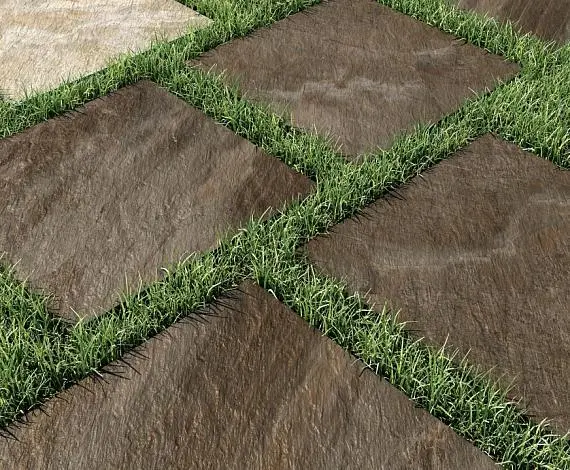 Манетик Х2 - картинка 1