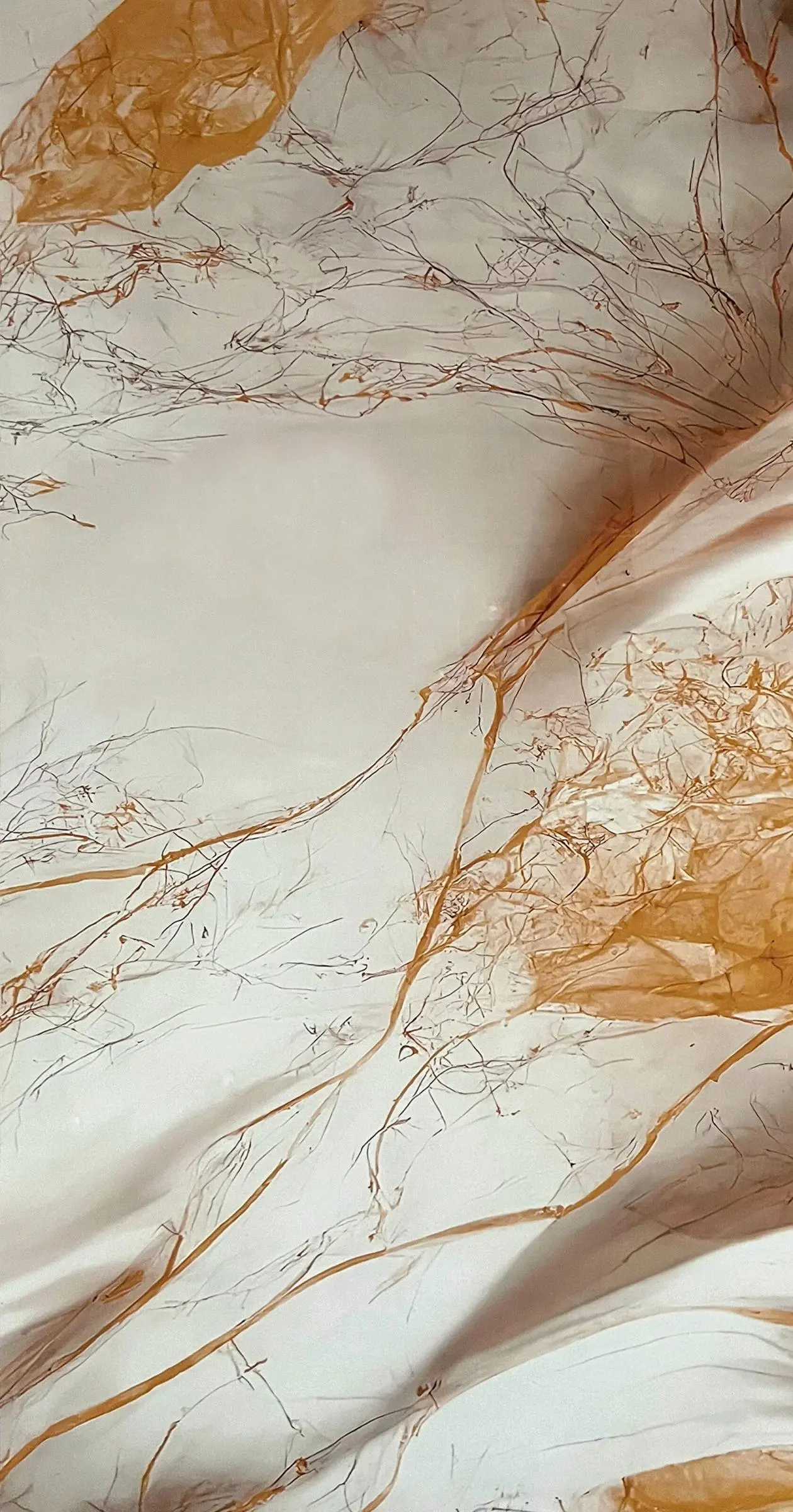 Queen - картинка 1