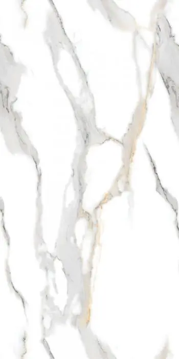 Staturio - картинка 1