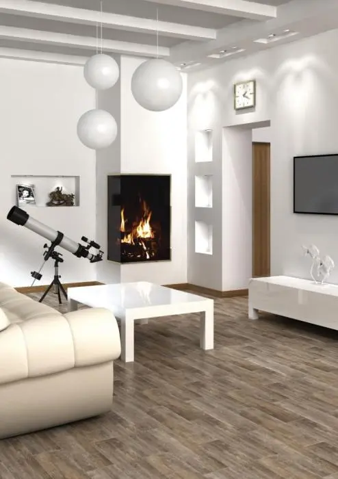 Сельва - картинка 1