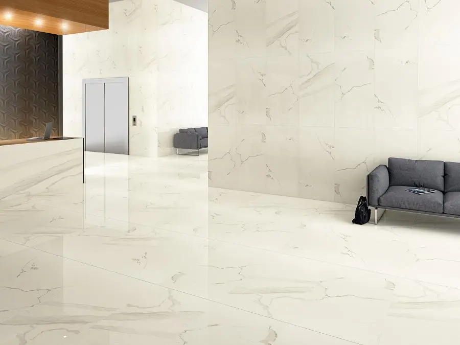 Albatros - картинка 1