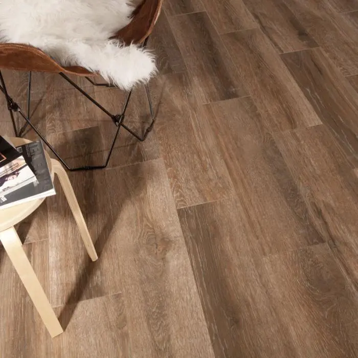 Forest - картинка 1